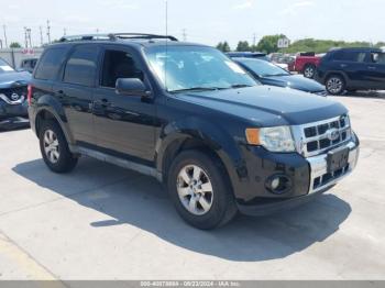  Salvage Ford Escape