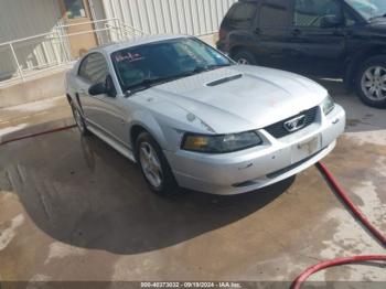  Salvage Ford Mustang