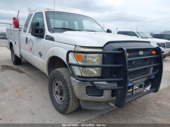  Salvage Ford F-250