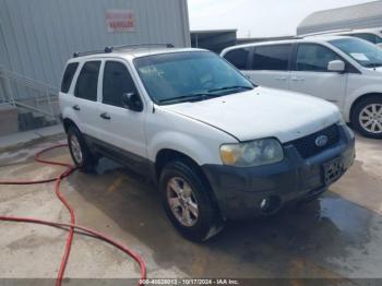  Salvage Ford Escape