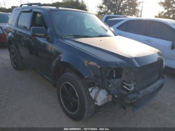  Salvage Ford Escape