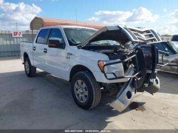  Salvage Ford F-150