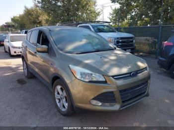  Salvage Ford Escape