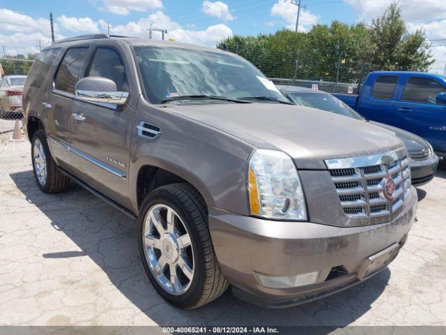  Salvage Cadillac Escalade