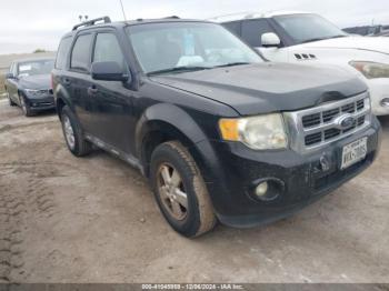  Salvage Ford Escape