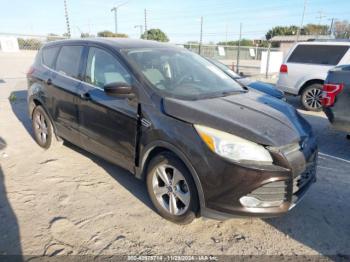  Salvage Ford Escape