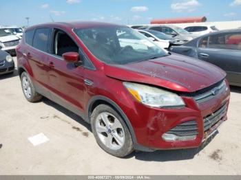  Salvage Ford Escape