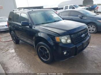  Salvage Ford Escape