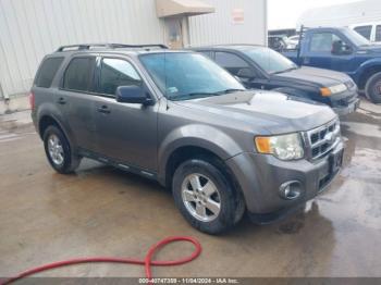  Salvage Ford Escape