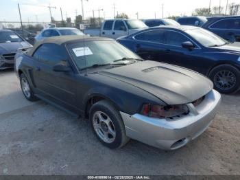  Salvage Ford Mustang