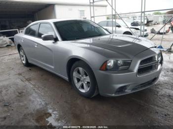  Salvage Dodge Charger