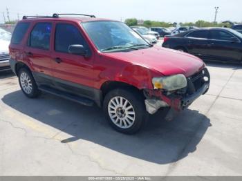  Salvage Ford Escape