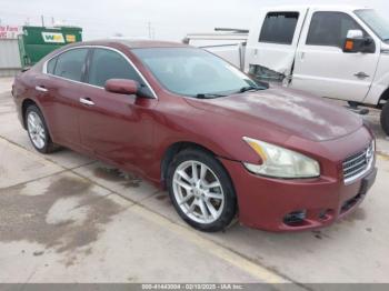  Salvage Nissan Maxima