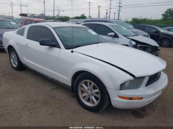  Salvage Ford Mustang