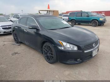  Salvage Nissan Maxima