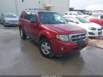  Salvage Ford Escape