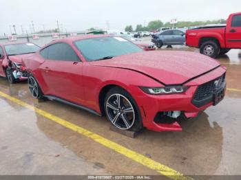  Salvage Ford Mustang