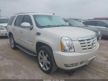  Salvage Cadillac Escalade