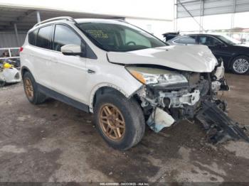  Salvage Ford Escape