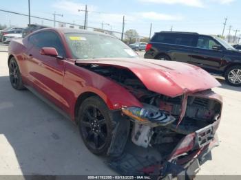  Salvage Ford Mustang