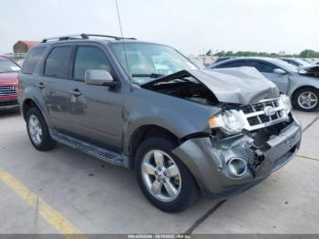  Salvage Ford Escape