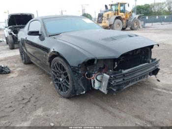  Salvage Ford Shelby GT500