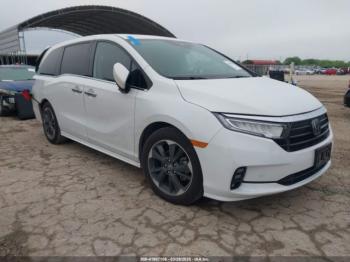  Salvage Honda Odyssey