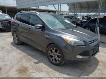  Salvage Ford Escape