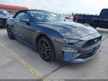  Salvage Ford Mustang