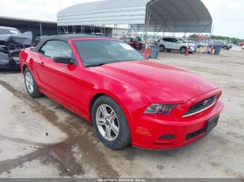  Salvage Ford Mustang