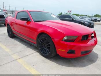  Salvage Ford Mustang