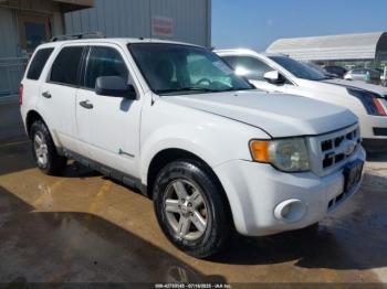  Salvage Ford Escape