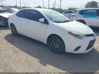  Salvage Toyota Corolla