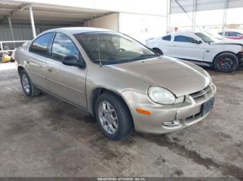  Salvage Dodge Neon