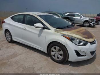  Salvage Hyundai ELANTRA