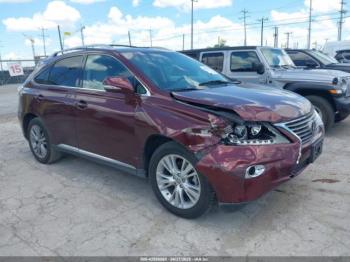  Salvage Lexus RX