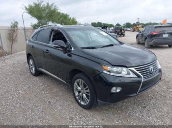  Salvage Lexus RX