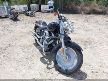  Salvage Harley-Davidson Flstfi