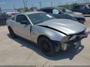  Salvage Ford Mustang