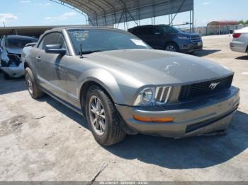  Salvage Ford Mustang