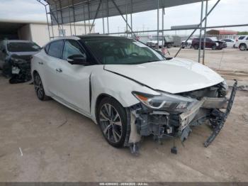  Salvage Nissan Maxima