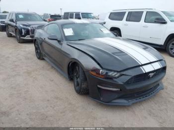  Salvage Ford Mustang