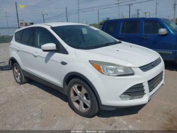  Salvage Ford Escape