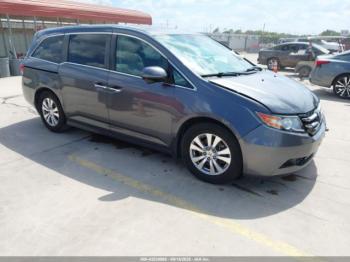  Salvage Honda Odyssey