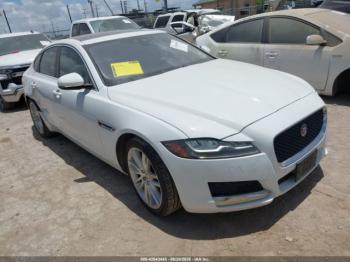  Salvage Jaguar XF