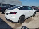 Tesla Model Y Image 13