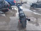 Harley-Davidson Xr1200 X Image 2