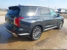 Hyundai PALISADE Calligraphy Image 4