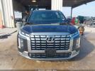 Hyundai PALISADE Calligraphy Image 15