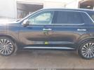 Hyundai PALISADE Calligraphy Image 13